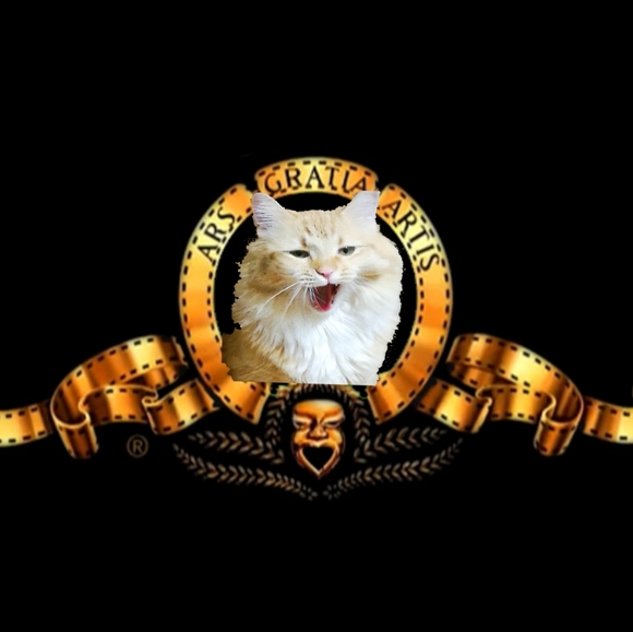 Meet your Posher, Karen - Picture 7 of 8